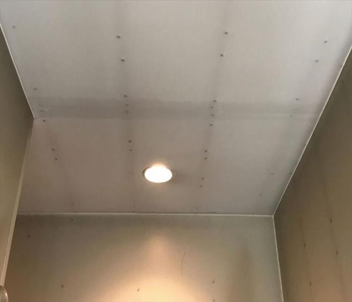 rows of black spots following the screw heads and tape on walls and ceilings in a house
